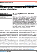 Cover page: Coupling sensor to enzyme in the voltage sensing phosphatase.