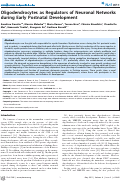 Cover page: Oligodendrocytes as Regulators of Neuronal Networks during Early Postnatal Development