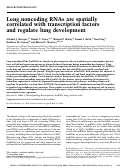 Cover page: Long noncoding RNAs are spatially correlated with transcription factors and regulate lung development