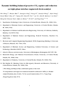 Cover page: Dynamic Bubbling Balanced Proactive CO2 Capture and Reduction on a Triple-Phase Interface Nanoporous Electrocatalyst