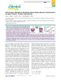 Cover page: p97 Disease Mutations Modulate Nucleotide-Induced Conformation to Alter Protein–Protein Interactions