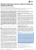 Cover page: Bacterial proteostasis balances energy and chaperone utilization efficiently
