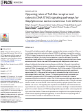 Cover page: Opposing roles of Toll-like receptor and cytosolic DNA-STING signaling pathways for Staphylococcus aureus cutaneous host defense