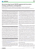 Cover page: Microhomology-based CRISPR tagging tools for protein tracking, purification, and depletion