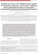 Cover page: Multiple functions of the SNARE protein Snap29 in autophagy, endocytic, and exocytic trafficking during epithelial formation in Drosophila