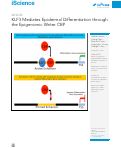 Cover page: KLF3 Mediates Epidermal Differentiation through the Epigenomic Writer CBP