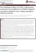 Cover page: The pathological effects of CCR2+ inflammatory monocytes are amplified by an IFNAR1-triggered chemokine feedback loop in highly pathogenic influenza infection