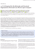 Cover page: α2δ-4 Is Required for the Molecular and Structural Organization of Rod and Cone Photoreceptor Synapses.