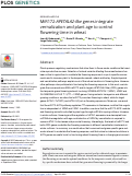 Cover page: MiR172-APETALA2-like genes integrate vernalization and plant age to control flowering time in wheat