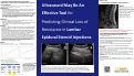 Cover page of Ultrasound May Be An Effective Tool for Predicting Clinical Loss of Resistance in Lumbar Epidural Steroid Injections