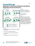 Cover page: Myelination of Neuronal Cell Bodies when Myelin Supply Exceeds Axonal Demand