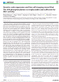 Cover page: Genetic code expansion and live cell imaging reveal that Thr-308 phosphorylation is irreplaceable and sufficient for Akt1 activity