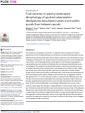 Cover page: Trait variation in patchy landscapes: Morphology of spotted salamanders (Ambystoma maculatum) varies more within ponds than between ponds