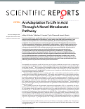 Cover page: An Adaptation To Life In Acid Through A Novel Mevalonate Pathway