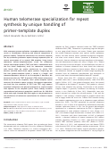 Cover page: Human telomerase specialization for repeat synthesis by unique handling of primer‐template duplex
