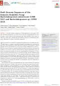 Cover page: Draft Genome Sequences of the Antarctic Endolithic Fungi Rachicladosporium antarcticum CCFEE 5527 and Rachicladosporium sp. CCFEE 5018