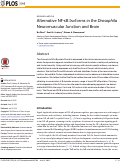 Cover page: Alternative NF-κB Isoforms in the Drosophila Neuromuscular Junction and Brain