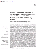 Cover page: Mutually Dependent Clustering of SynDIG4/PRRT1 and AMPA Receptor Subunits GluA1 and GluA2 in Heterologous Cells and Primary Neurons