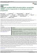 Cover page: CSNK2A1-mediated MAX phosphorylation upregulates HMGB1 and IL-6 expression in cholangiocarcinoma progression.