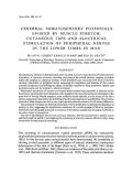 Cover page: Cerebral somatosensory potentials evoked by muscle stretch, cutaneous taps and electrical stimulation of peripheral nerves in the lower limbs in man.