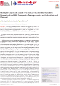 Cover page: Multiple Copies of a qnrB19 Gene Are Carried by Tandem Repeats of an IS26 Composite Transposon in an Escherichia coli Plasmid