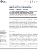 Cover page: Coordinated neuronal ensembles in primary auditory cortical columns