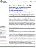 Cover page: Transcription of a 5’ extended mRNA isoform directs dynamic chromatin changes and interference of a downstream promoter