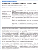 Cover page: Isoaspartyl Protein Damage and Repair in Mouse RetinaIsoaspartyl Protein Damage and Repair in Mouse Retina