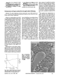 Cover page: Enhancement of Superconductivity through Lattice Softening