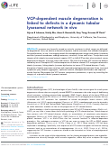 Cover page: VCP-dependent muscle degeneration is linked to defects in a dynamic tubular lysosomal network in vivo.