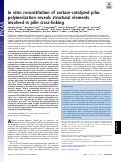 Cover page: In vitro reconstitution of sortase-catalyzed pilus polymerization reveals structural elements involved in pilin cross-linking