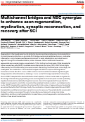 Cover page: Multichannel bridges and NSC synergize to enhance axon regeneration, myelination, synaptic reconnection, and recovery after SCI.