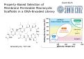 Cover page: Property-Based Selection of Membrane Permeable Macrocyclic Scaffolds in a DNA-Encoded Library