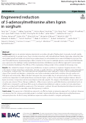 Cover page: Engineered reduction of S-adenosylmethionine alters lignin in sorghum.