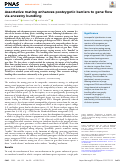 Cover page: Assortative mating enhances postzygotic barriers to gene flow via ancestry bundling