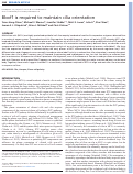 Cover page: Bbof1 is required to maintain cilia orientation