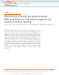 Cover page: Phytochrome activates the plastid-encoded RNA polymerase for chloroplast biogenesis via nucleus-to-plastid signaling