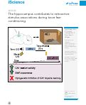 Cover page: The hippocampus contributes to retroactive stimulus associations during trace fear conditioning