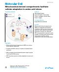 Cover page: Mitochondrial-derived compartments facilitate cellular adaptation to amino acid stress