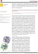 Cover page: Structure of interferon-stimulated gene product 15 (ISG15) from the bat species Myotis davidii and the impact of interdomain ISG15 interactions on viral protein engagement.