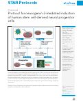 Cover page: Protocol for neurogenin-2-mediated induction of human stem cell-derived neural progenitor cells