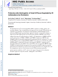 Cover page: Proteome-wide Interrogation of Small GTPases Regulated by N6-Methyladenosine Modulators.