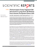 Cover page: Photoreceptor Outer Segment-like Structures in Long-Term 3D Retinas from Human Pluripotent Stem Cells