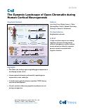 Cover page: The Dynamic Landscape of Open Chromatin during Human Cortical Neurogenesis