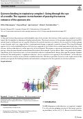 Cover page: Quinone binding in respiratory complex I: Going through the eye of a needle. The squeeze-in mechanism of passing the narrow entrance of the quinone site