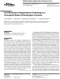 Cover page: Pcaf Modulates Polyglutamine Pathology in a Drosophila Model of Huntington’s Disease