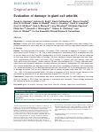 Cover page: Evaluation of damage in giant cell arteritis.