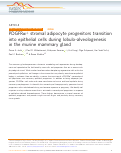 Cover page: PDGFRα+ stromal adipocyte progenitors transition into epithelial cells during lobulo-alveologenesis in the murine mammary gland