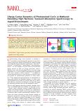 Cover page: Charge Carrier Dynamics of Photoexcited Co3O4 in Methanol: Extending High Harmonic Transient Absorption Spectroscopy to Liquid Environments