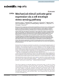 Cover page: Mechanical stimuli activate gene expression via a cell envelope stress sensing pathway.